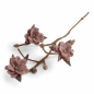 Preview: Zweig mit Magnolien staubiges rose aus Filz von En Gry & Sif